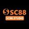 sc88studio nickli yeye ait kullanc resmi (Avatar)