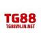 tg88vninnet nickli �yeye ait kullan�c� resmi (Avatar)