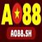 ao88sh nickli �yeye ait kullan�c� resmi (Avatar)