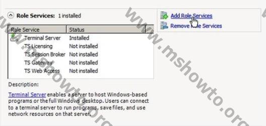 Terminal Server Web Access