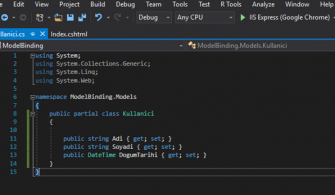 080918_1917_MVCModelCom9.png