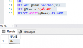 Resim1_ASCII