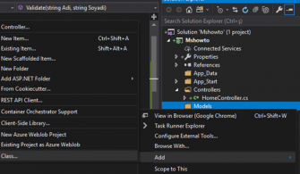 MVC Server Side Validation Nedir? Nasıl Kullanılır? Bölüm-33