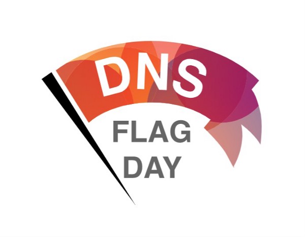 DNSFLAGDAY
