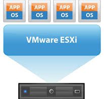 esxiii