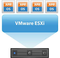 esxiii