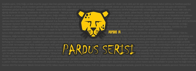 pardus-kapak