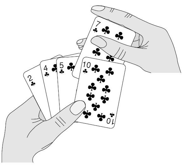 insertion sort