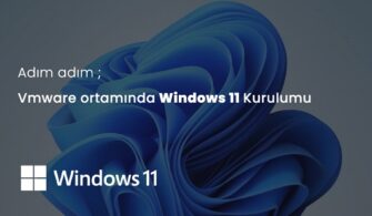 win11
