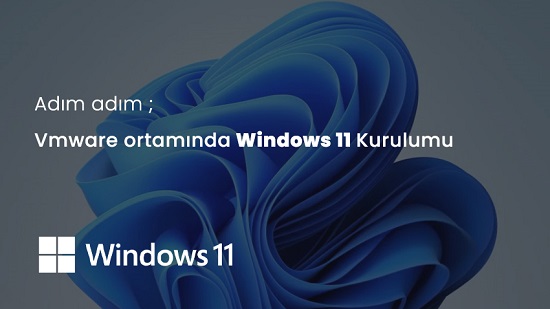 win11