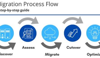 migration-process