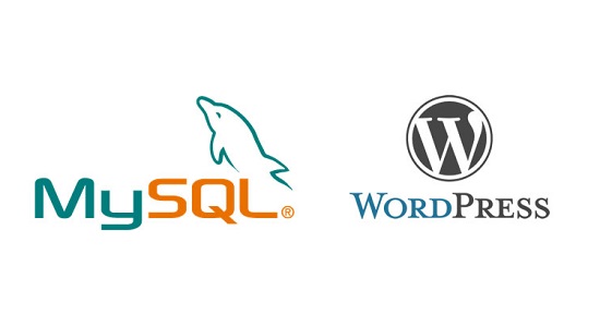 wp_mysql