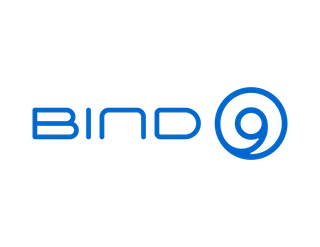 Bind-dns-resim-1